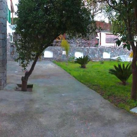 B&B Carpe Diem Domus Иския Екстериор снимка